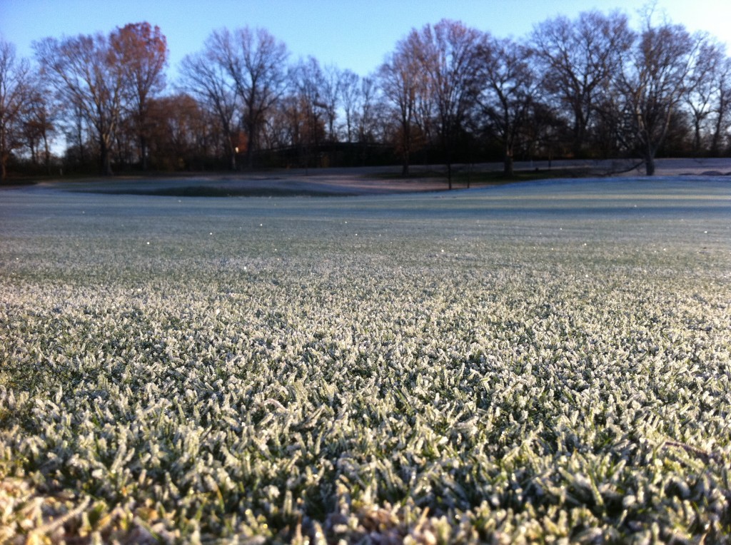 Frost on a Green