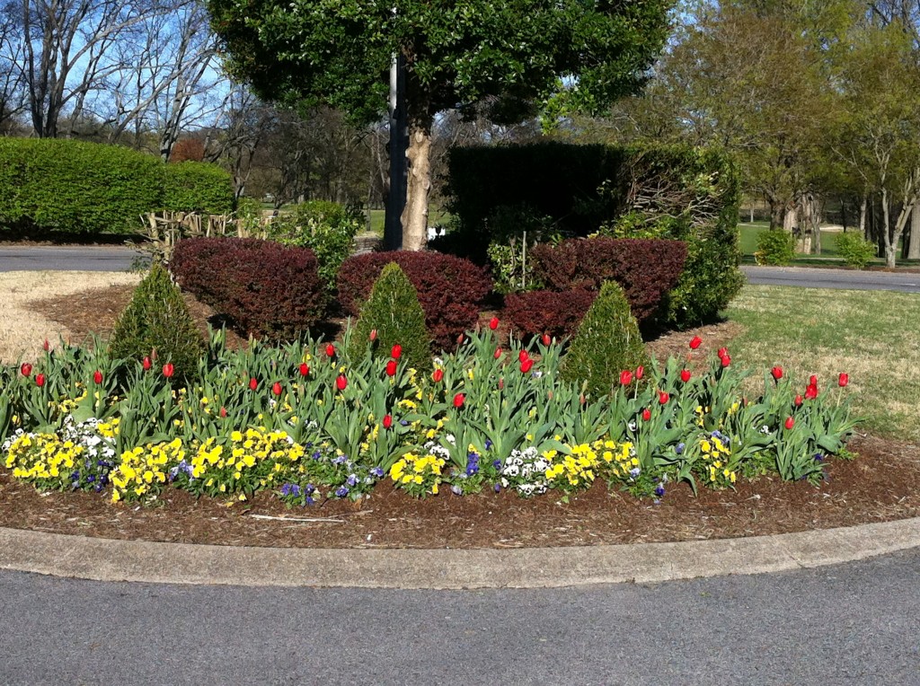 Front Circle Hedge